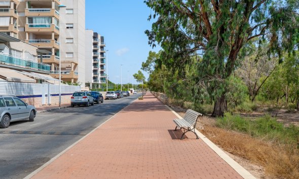 Gensalg - apartment -
Guardamar del Segura - Guardamar
