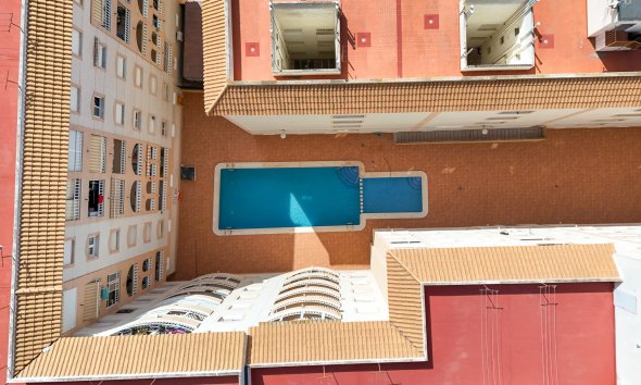 Gensalg - apartment -
Torrevieja - El molino