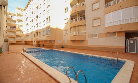 Gensalg - apartment -
Torrevieja - El molino