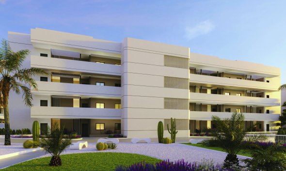 Obra nueva - Ático -
Torrevieja