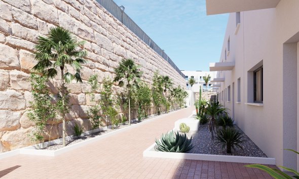 Obra nueva - terraced -
Guardamar del Segura - Mojácar