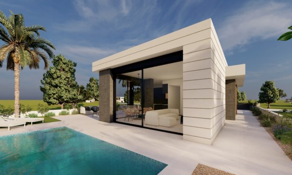 Obra nueva - detached -
Pilar de la Horadada