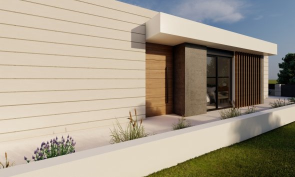Obra nueva - detached -
Pilar de la Horadada