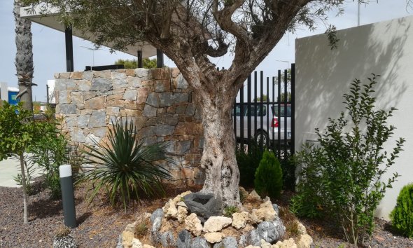 Nybyggeri - high-bungalow -
Torrevieja