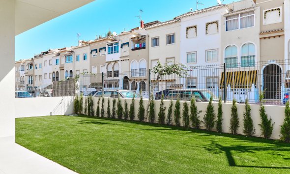 Obra nueva - high-bungalow -
Torrevieja