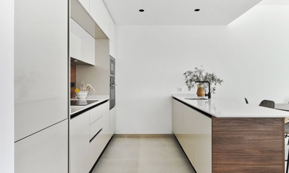 Obra nueva - high-bungalow -
Torrevieja